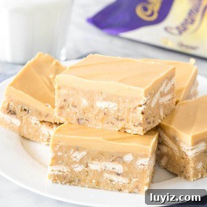 Caramilk Slice Recipe: Creamy No-Bake Caramel Chocolate Bars 6 img 13545 5