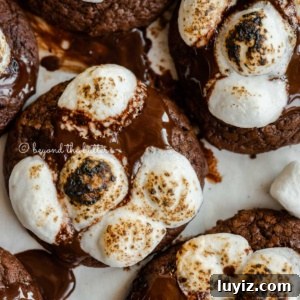Hot Chocolate Cookies with Mini Marshmallows 11 Closeup overhead of hot chocolate mini marshmallow cookies.