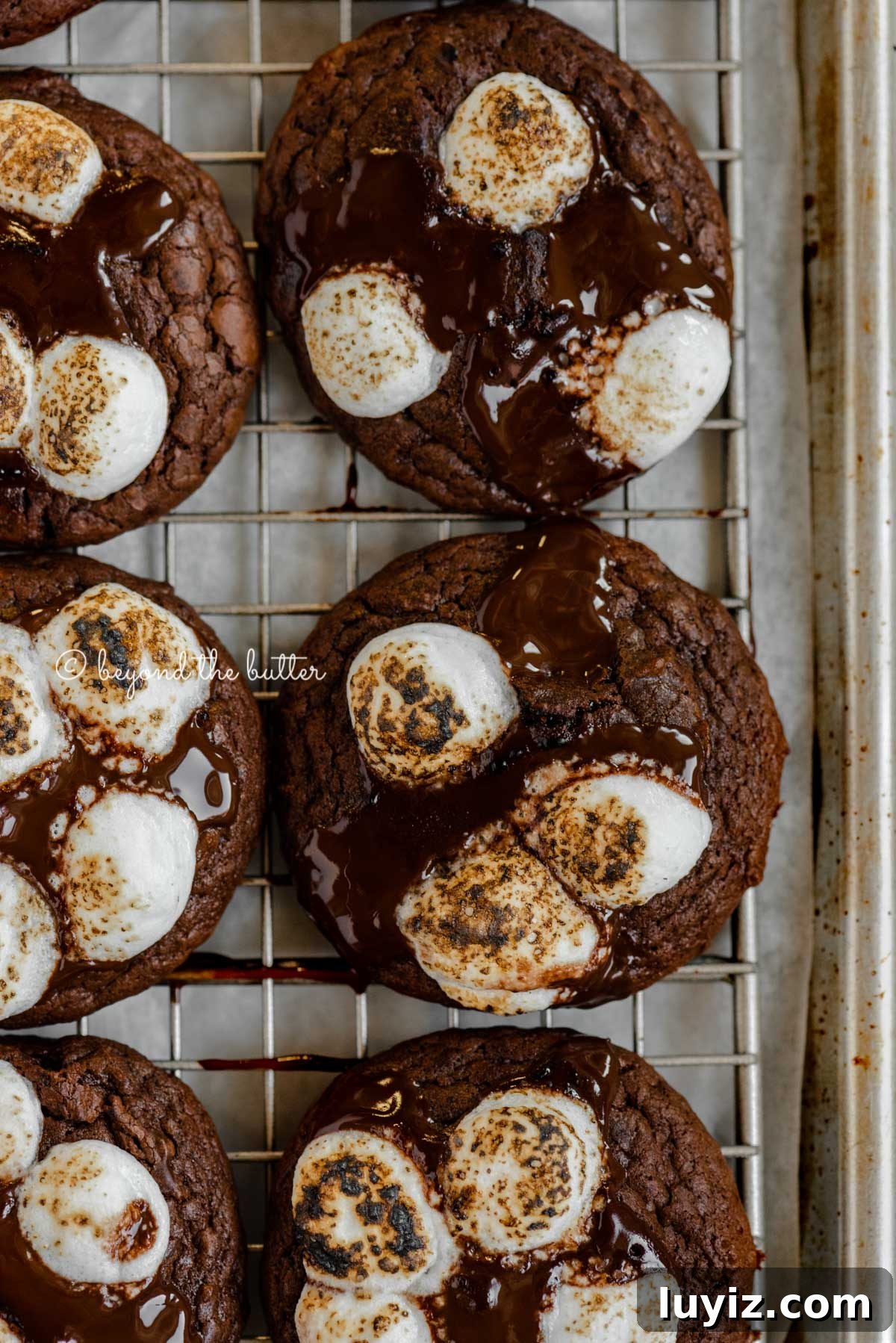 Hot Chocolate Cookies with Mini Marshmallows 12 Closeup overhead image of hot chocolate mini marshmallow cookies on a cooling rack lined baking sheet | All Images © Beyond the Butter™