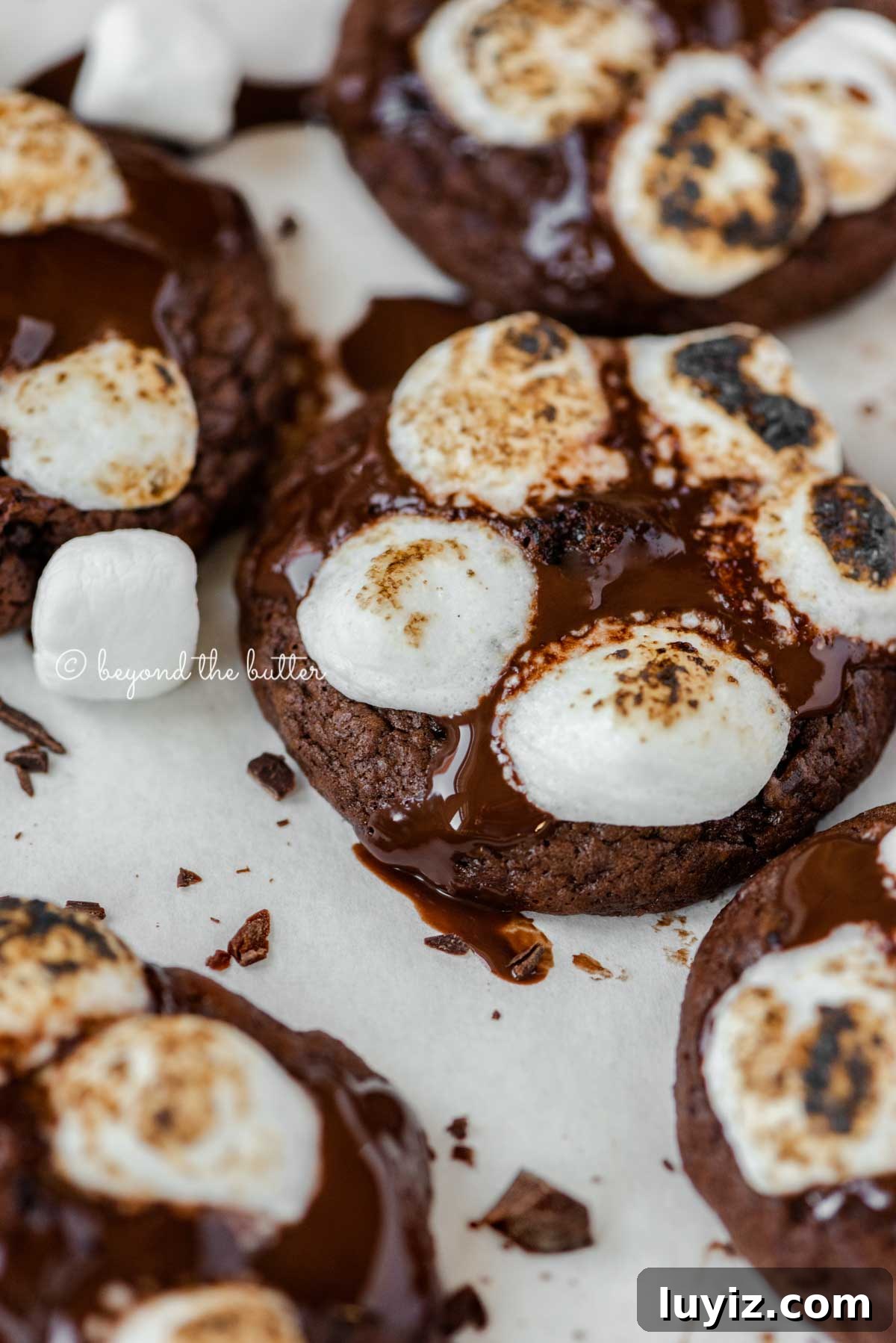 Hot Chocolate Cookies with Mini Marshmallows 3 Angled image of hot chocolate mini marshmallow cookies on white background | All Images © Beyond the Butter™
