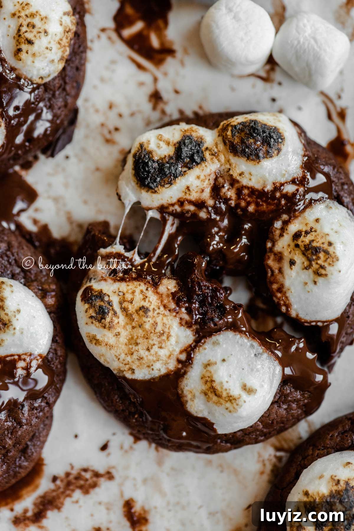 Hot Chocolate Cookies with Mini Marshmallows 4 Hot chocolate mini marshmallow cookie pulled apart to see the inside with more cookies around it on white background | All Images © Beyond the Butter™