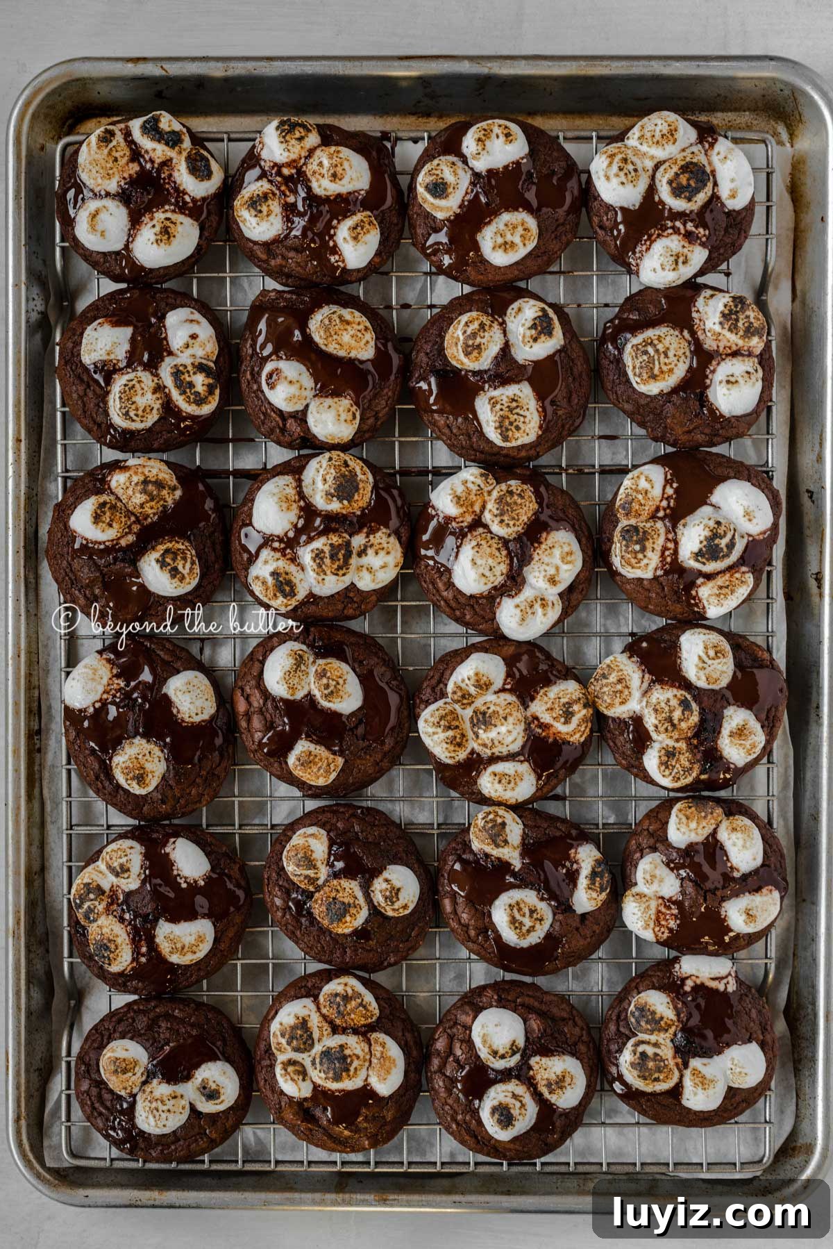 Hot Chocolate Cookies with Mini Marshmallows 5 Overhead image of hot chocolate mini marshmallow cookies on a cooling rack lined baking sheet | All Images © Beyond the Butter™