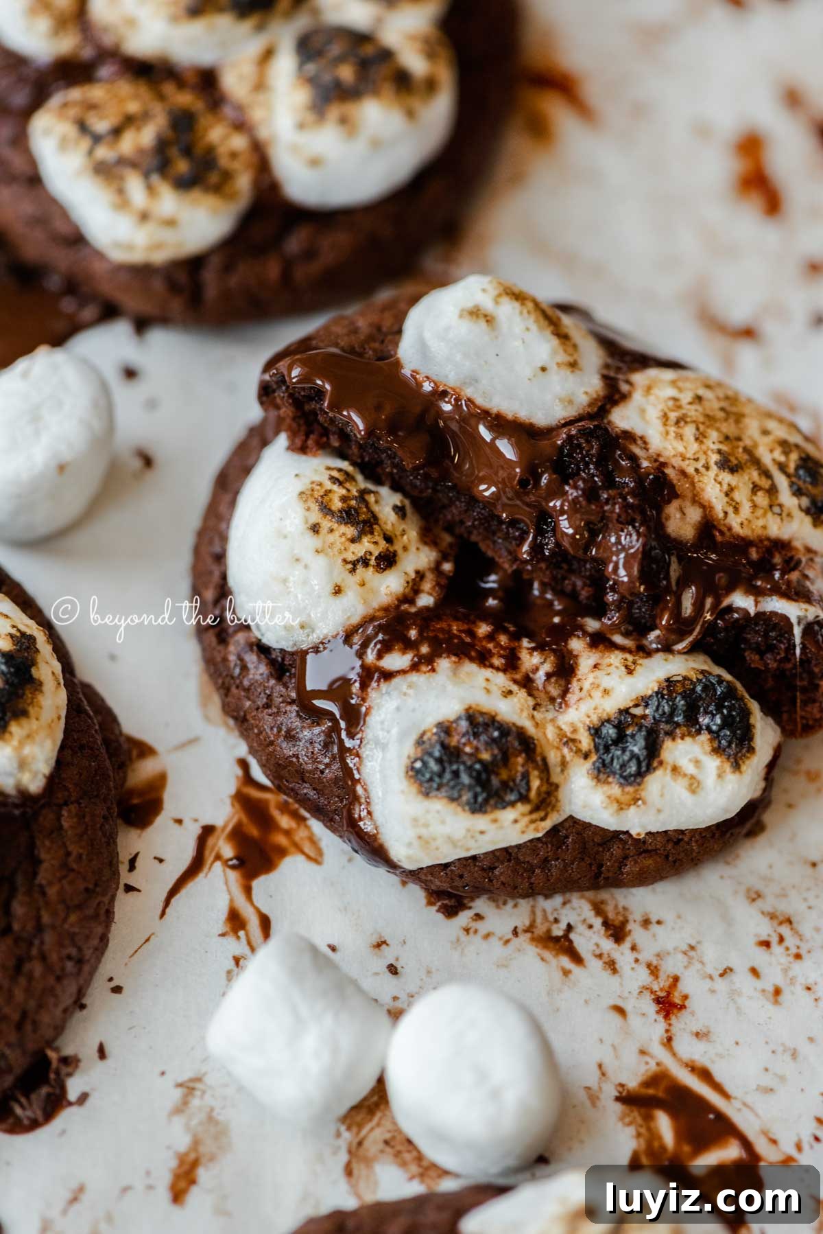 Hot Chocolate Cookies with Mini Marshmallows 6 Hot chocolate mini marshmallow cookie pulled apart to see the inside with more cookies around it on white background | All Images © Beyond the Butter™