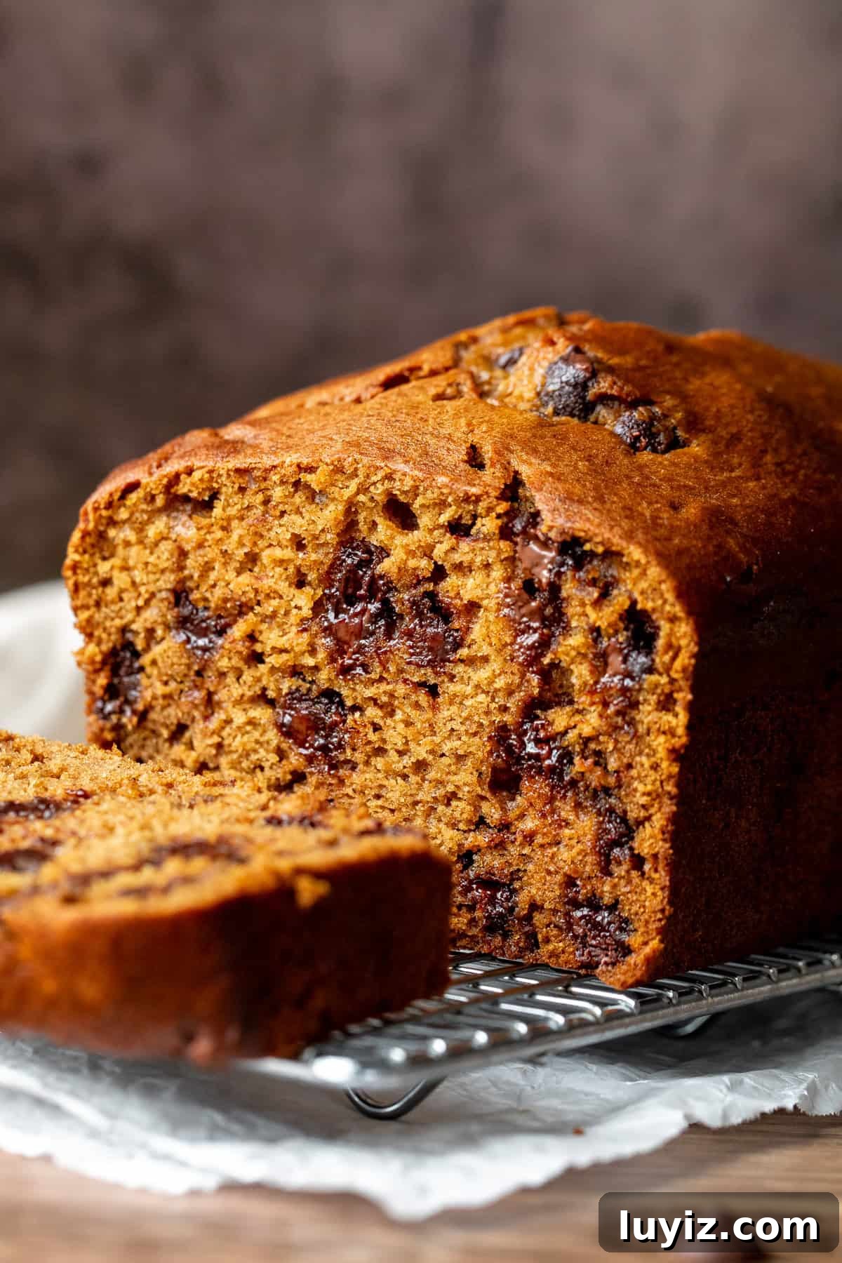 Pumpkin Chocolate Chip Loaf Recipe: Moist Spiced Quick Bread 3 Pumpkin chocolate chip loaf, cut in half