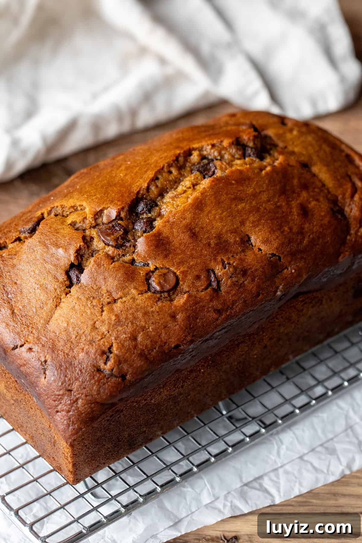 Pumpkin Chocolate Chip Loaf Recipe: Moist Spiced Quick Bread 6 Pumpkin bread with chocolate chips on a cooling rack