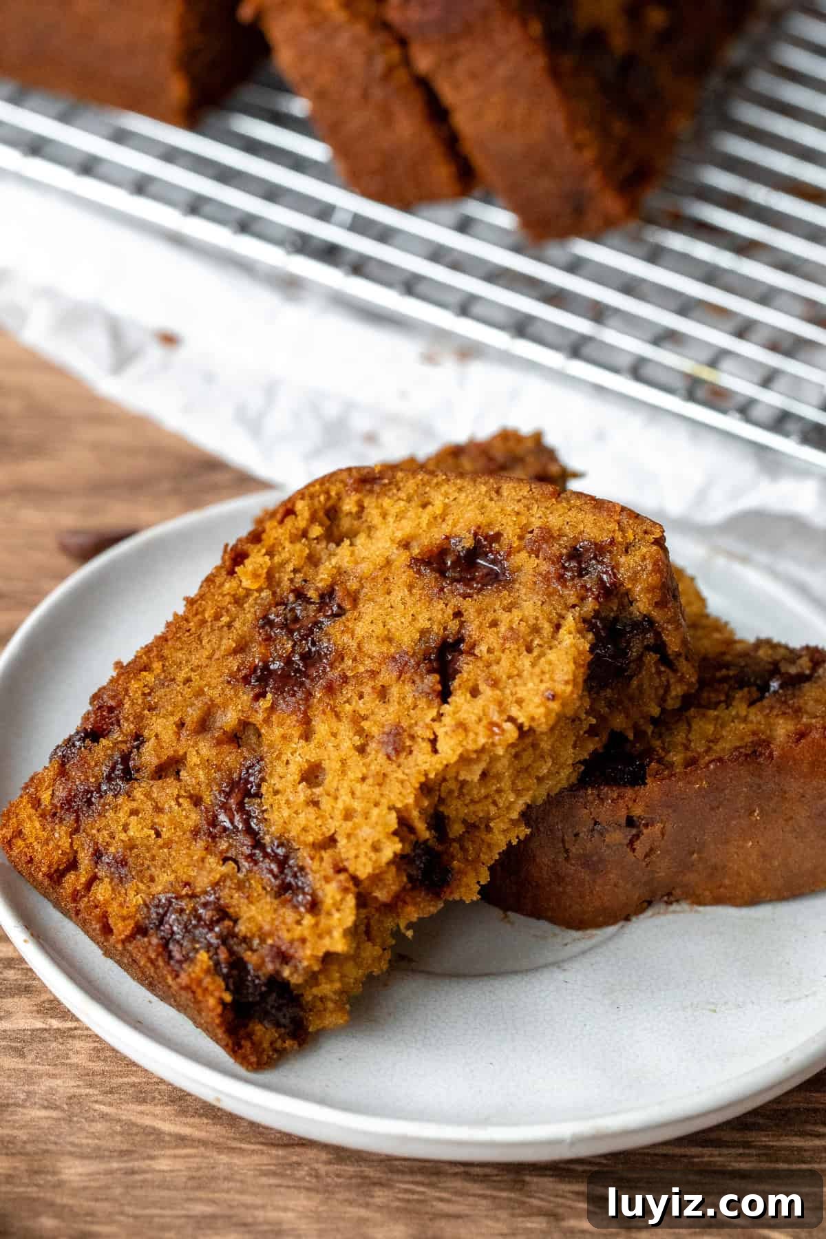 Pumpkin Chocolate Chip Loaf Recipe: Moist Spiced Quick Bread 7 Slice of pumpkin loaf broken in half on a plate