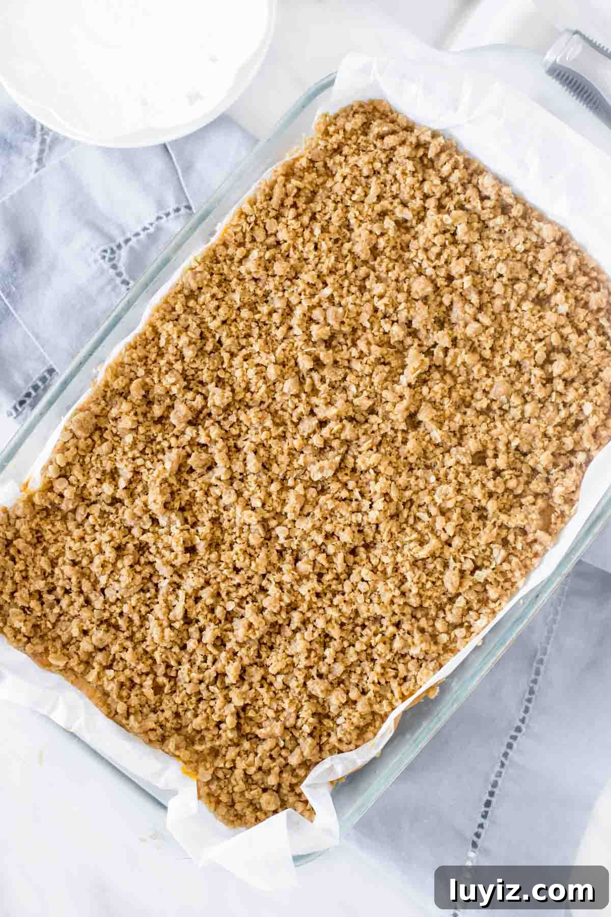 Pumpkin Streusel Bars Recipe — Perfect Fall Dessert Bars 4 9x13 inch pan of pumpkin bars with streusel topping, from above.