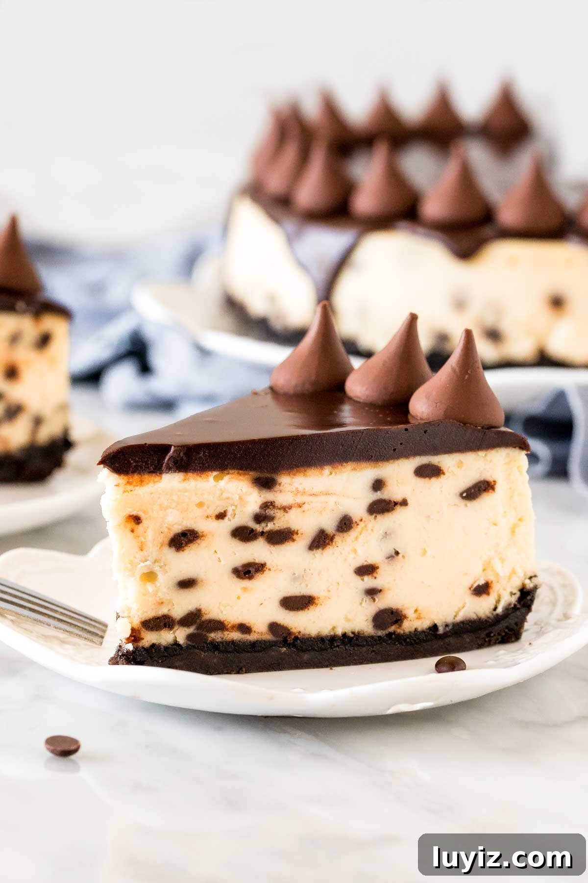 Decadent Chocolate Chip Cheesecake Recipe for Dessert Lovers 2 Slice of chocolate chip cheesecake on a plate with cheesecake in background.