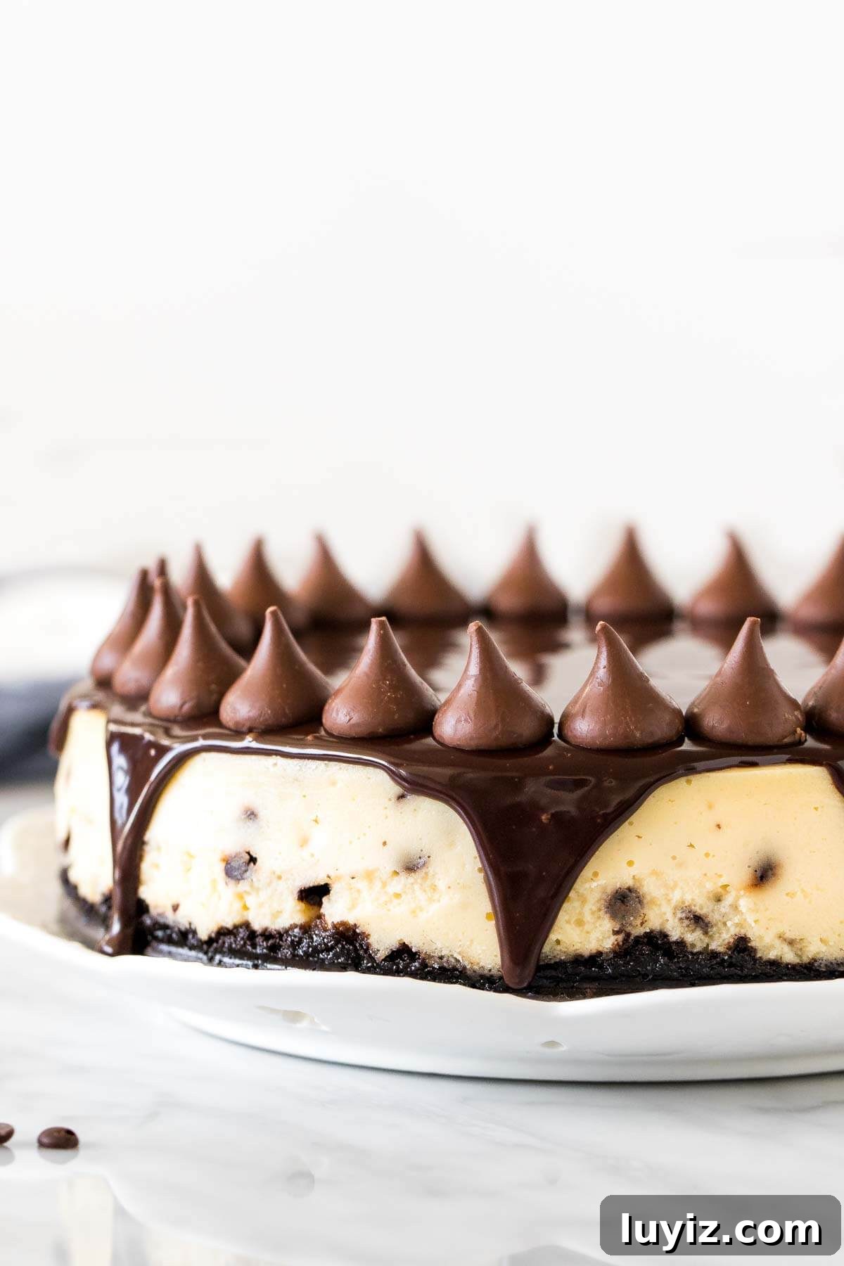 Decadent Chocolate Chip Cheesecake Recipe for Dessert Lovers 3 Cheesecake with cookie crust, chocolate topping and chocolate kisses on a round plate.