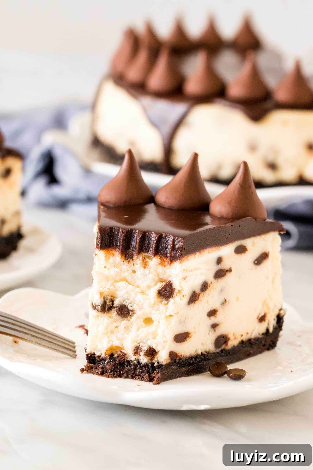 Decadent Chocolate Chip Cheesecake Recipe for Dessert Lovers 5 Slice cheesecake with chocolate chips with a bite taken out of it.