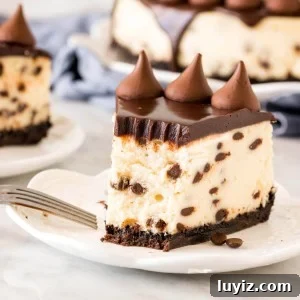 Decadent Chocolate Chip Cheesecake Recipe for Dessert Lovers 6 Slice of chocolate chip cheesecake with chocolate topping.