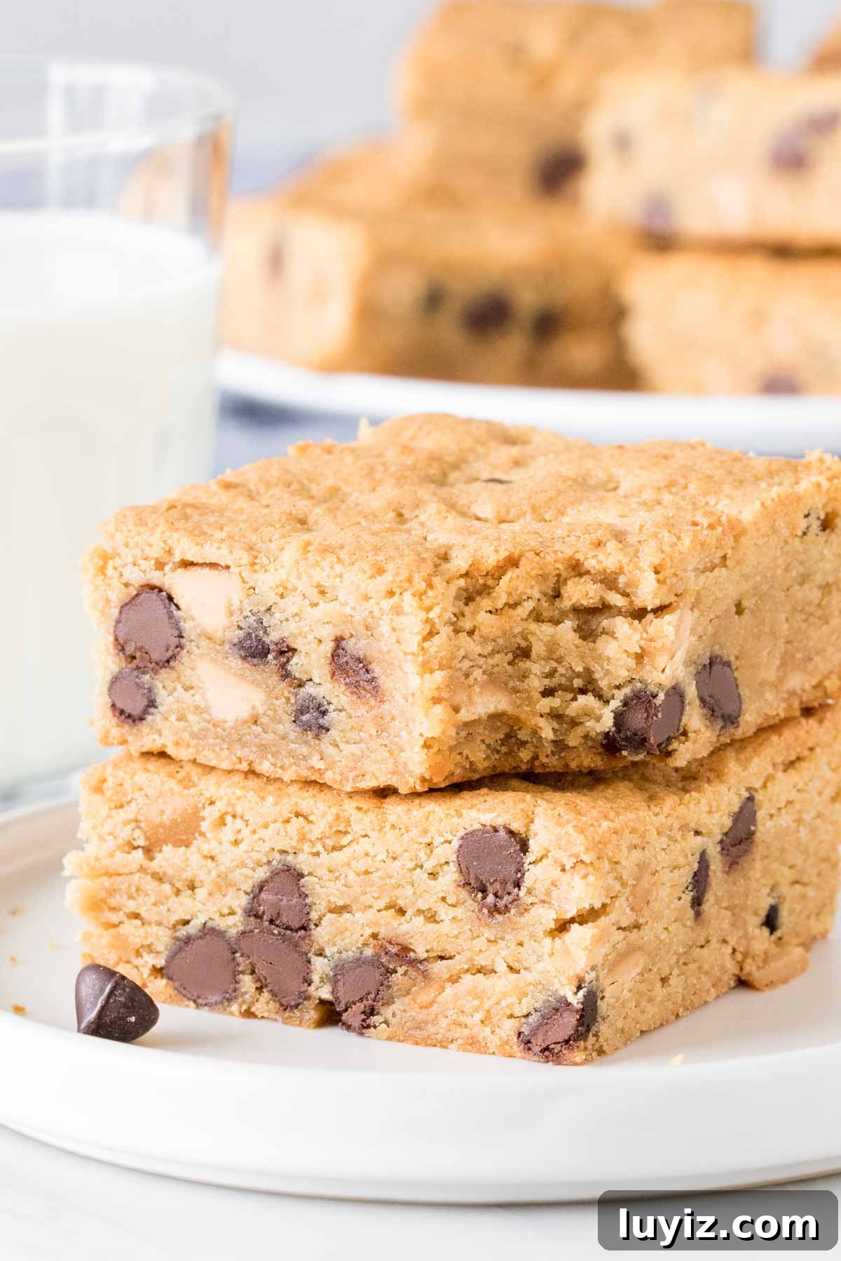 Chewy Peanut Butter Cookie Bars Recipe — Simple Crowd-Pleaser 5 2 peanut butter cookie bars stacked, with a bite out of the top bar.
