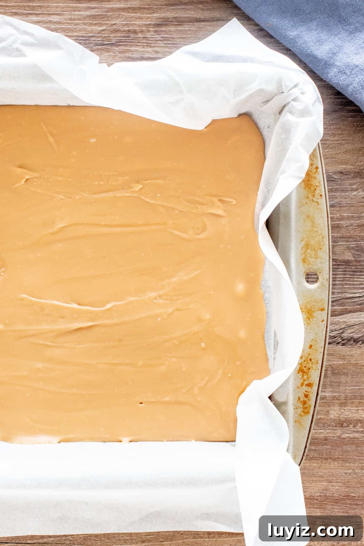 Rich Caramel Fudge Made with Condensed Milk 4 Pan of fudge
