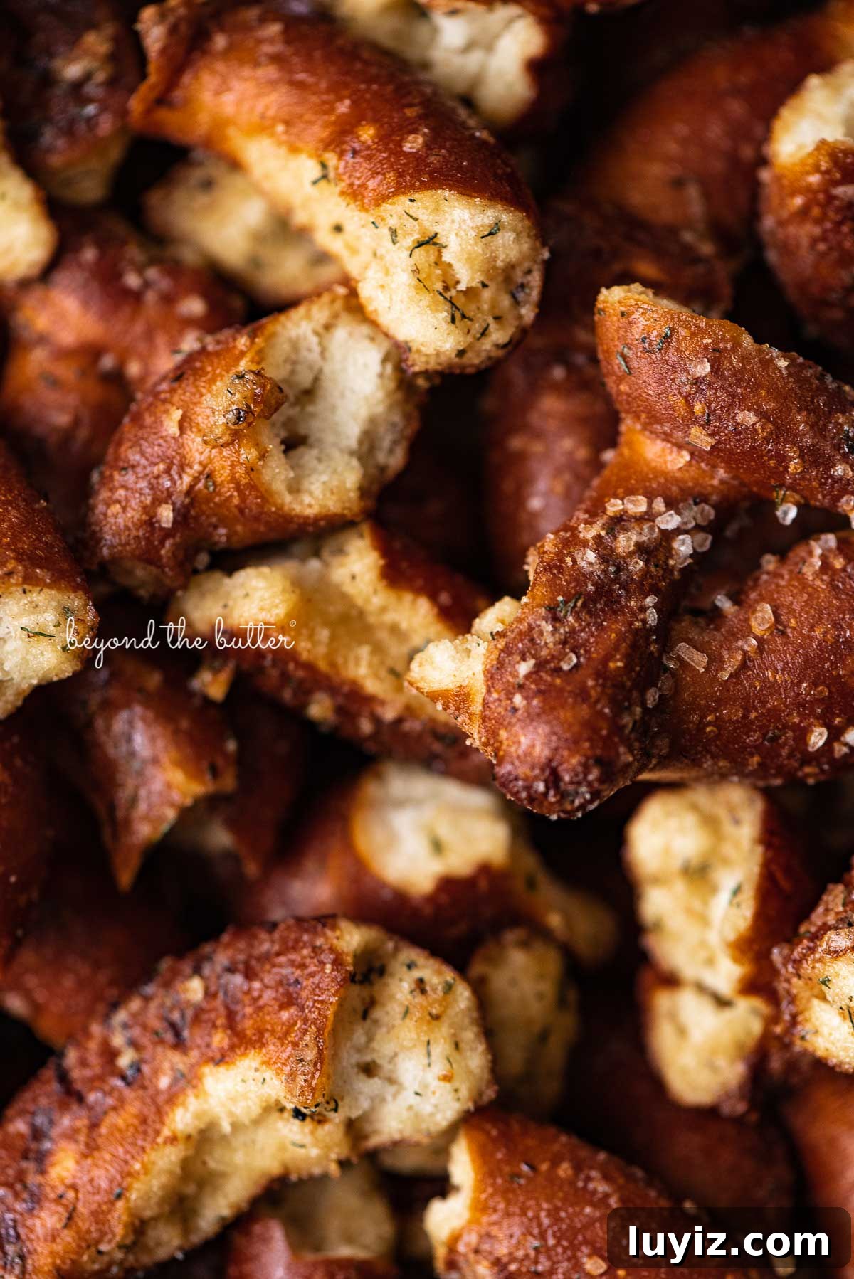 Savory Seasoned Pretzels: Flavorful Homemade Snack Recipe 4 Seasoned sourdough pretzels coated in a mixture of olive oil, garlic powder, dill weed, lemon pepper, and ranch dry dressing mix from BeyondtheButter.com | © Beyond the Butter®