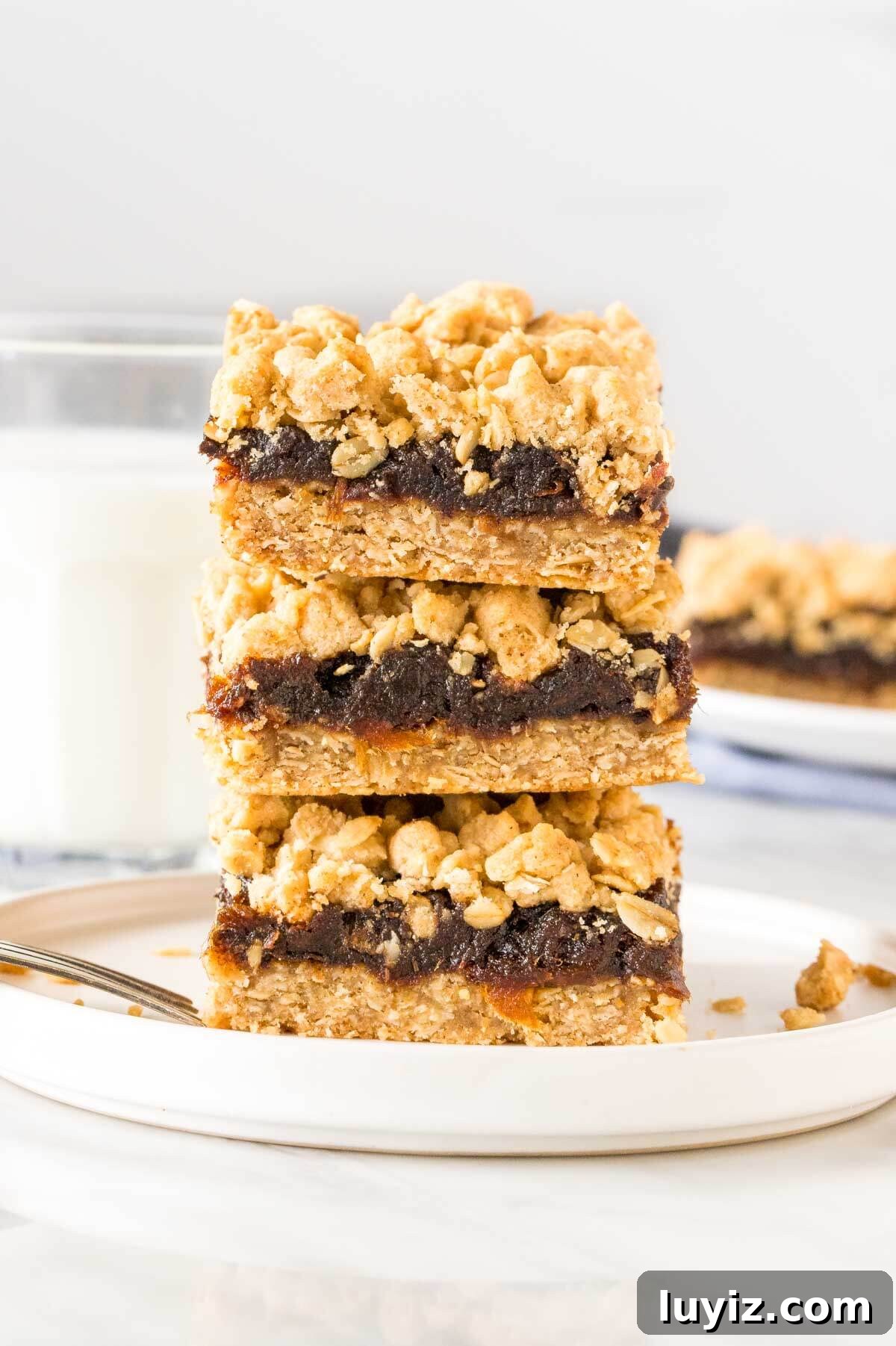 Date Squares Recipe: Chewy No-Bake Date Bars with Oats 5 Stack of 3 date squares with oatmeal crumble topping.