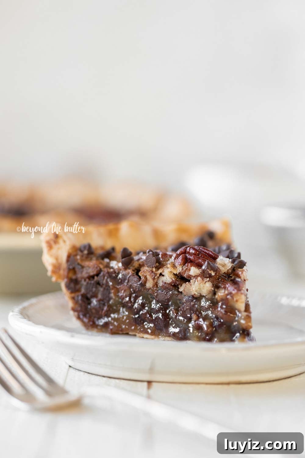 Decadent Chocolate Pecan Pie Recipe for Chocoholics 3 Easy Chocolate Pecan Pie recipe | All Images © Beyond the Butter, LLC