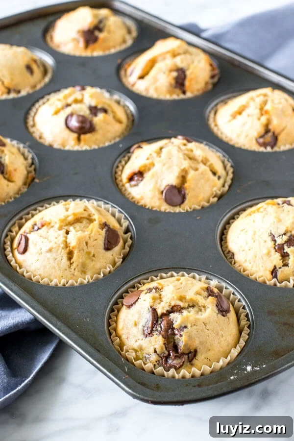 Moist Banana Chocolate Chip Muffins Recipe for Perfect Breakfast 2 A pan of banana chocolate chip muffins fresh out of the oven.