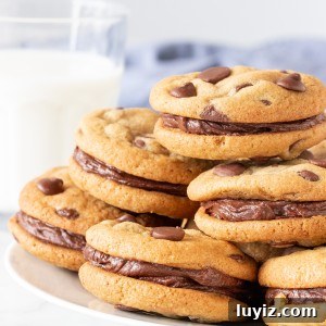 Plate of chocolate chip sandwich cookies