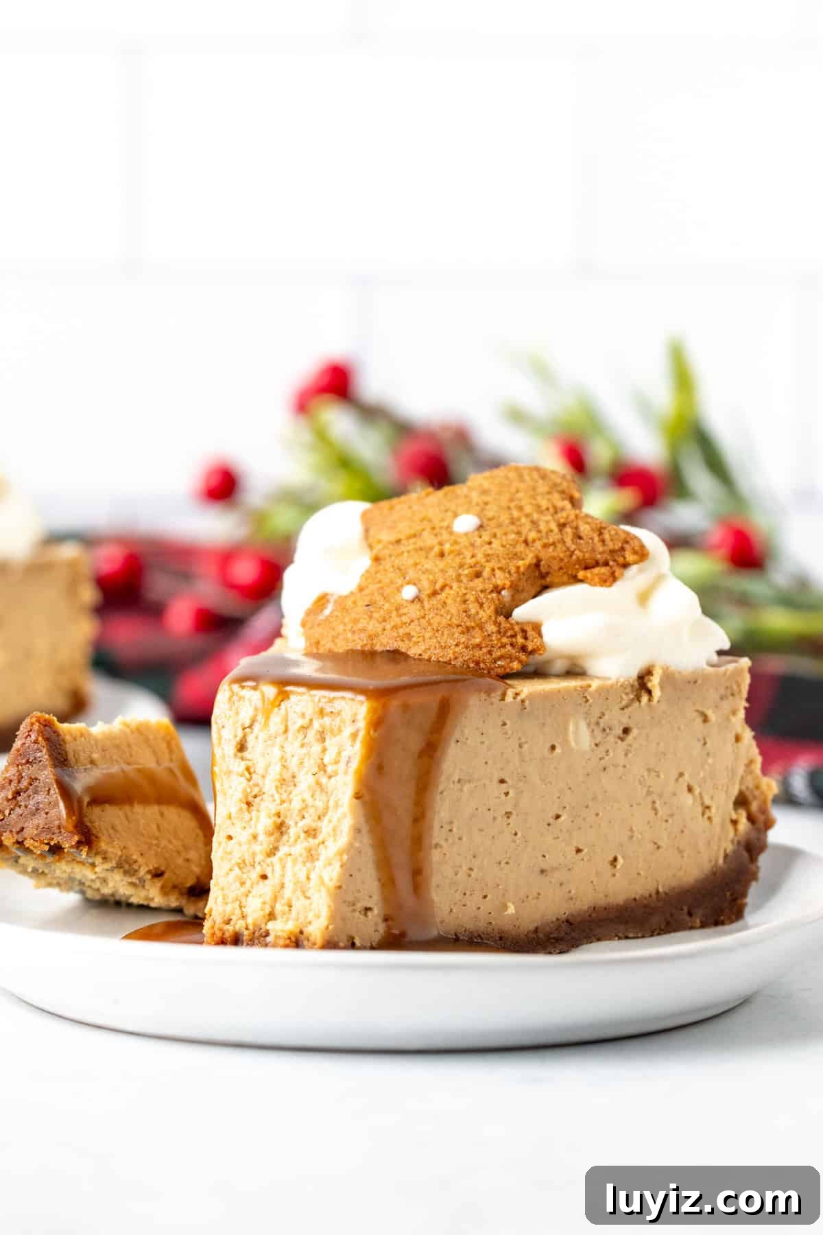 Gingerbread Cheesecake Recipe with Spiced Graham Crust 6 Slice of gingerbread cheesecake with a bite taken out