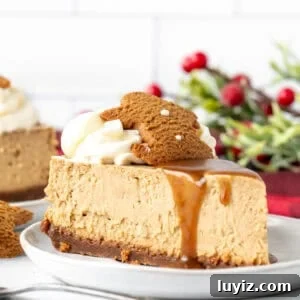 Gingerbread Cheesecake Recipe with Spiced Graham Crust 7 Slice of gingerbread cheesecake topped with whipped cream and butterscotch sauce