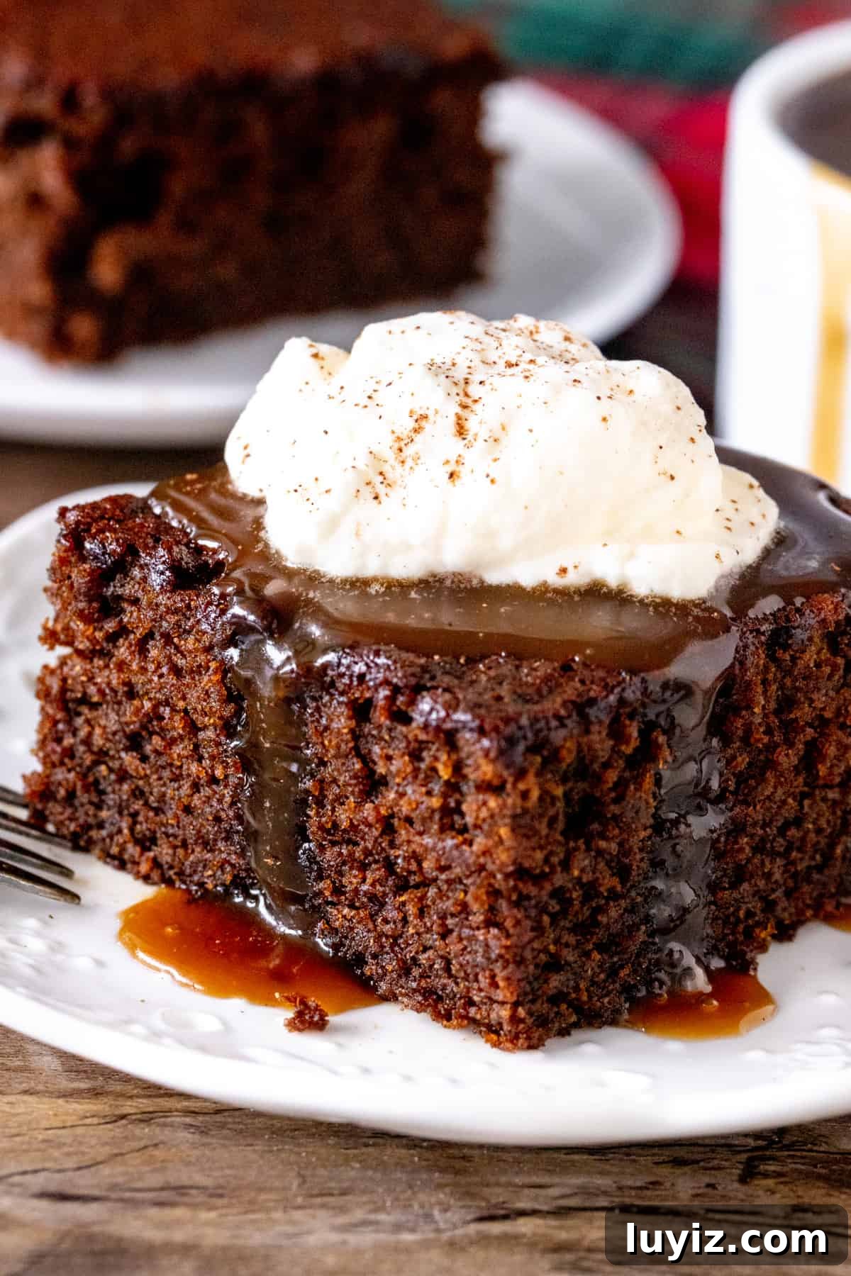 Classic Gingerbread Recipe: Soft, Spiced Loaf or Cookies 2 Slice of gingerbread cake with a bite taken out of it.