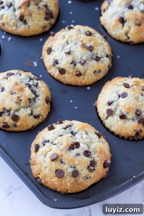 Bakery-Style Chocolate Chip Muffins Recipe You’ll Love 4 A pan of big, bakery chocolate chip muffins fresh out of the oven.