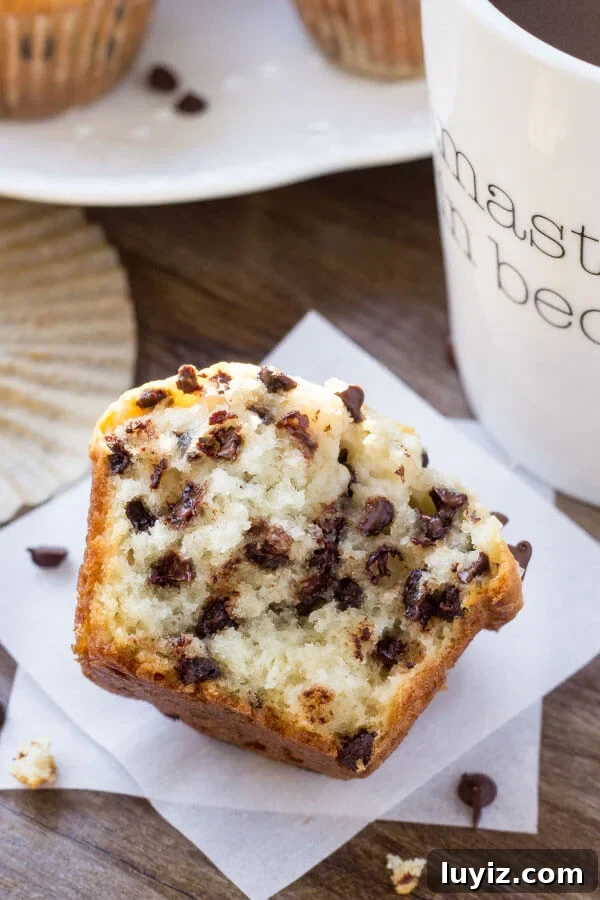 Bakery-Style Chocolate Chip Muffins Recipe You’ll Love 6 A bakery-style chocolate chip muffin made with sour cream and buttermilk broken in half to show the soft, fluffy muffin texture.