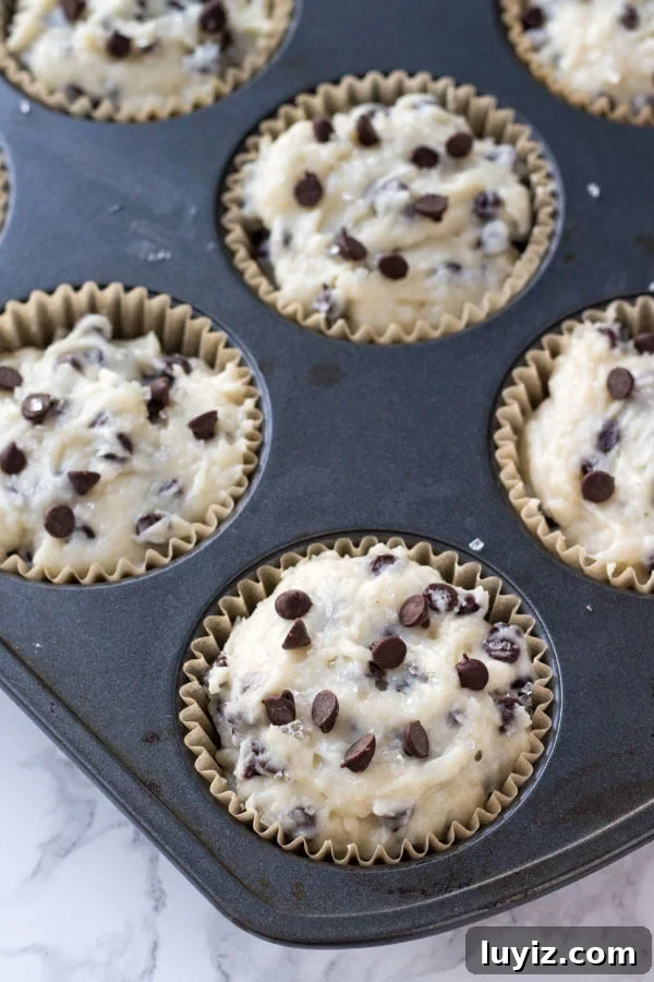 Bakery-Style Chocolate Chip Muffins Recipe You’ll Love 8 A muffin pan of bakery-style chocolate chip muffins, right before they go into the oven to be baked. Chocolate chip muffin batter made with sour cream and buttermilk.