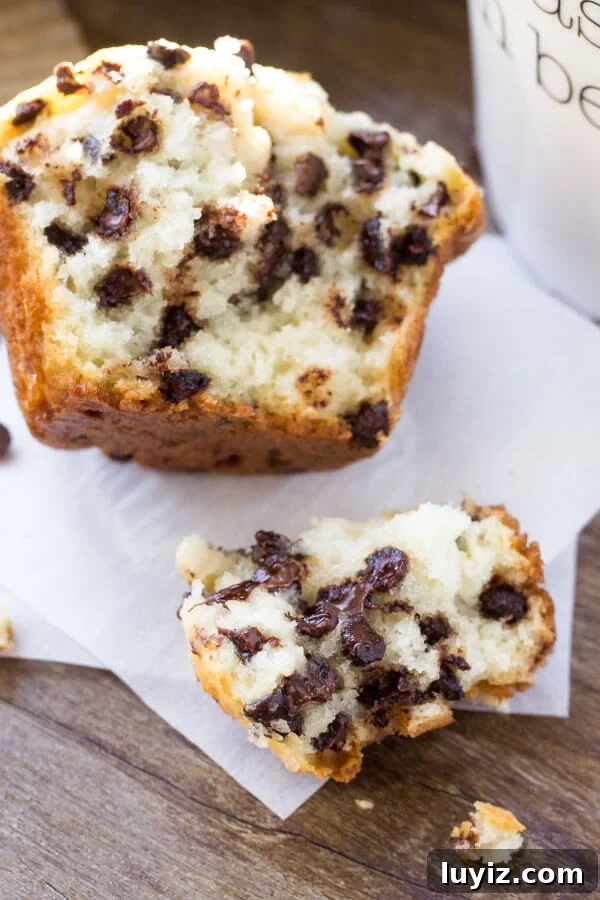 Bakery-Style Chocolate Chip Muffins Recipe You’ll Love 10 A big, fluffy bakery-style chocolate chip muffin broken in half.
