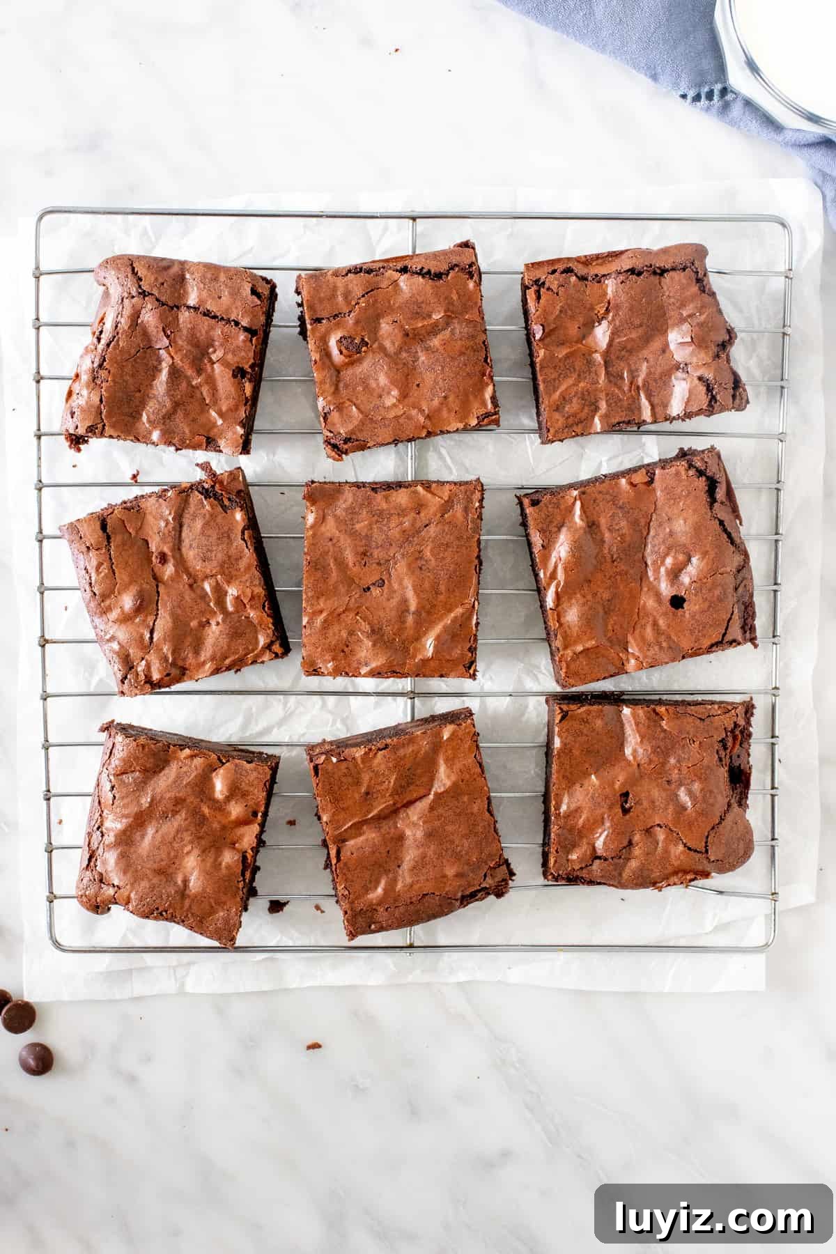 Decadent Flourless Chocolate Brownies Recipe 3 9 brownies on a cooling rack
