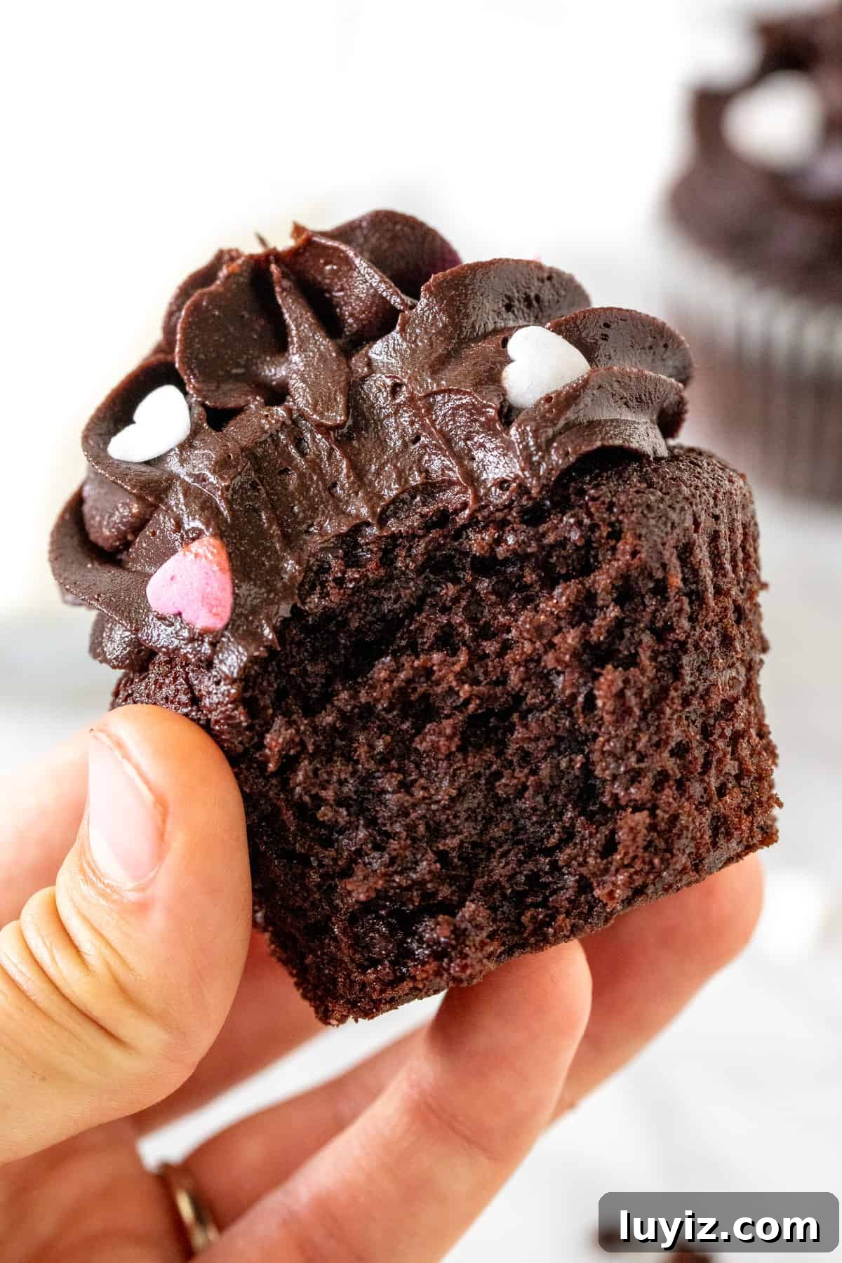 Mini Chocolate Cupcakes Recipe for Small Batches 5 A chocolate cupcake with a bite taken out of it.