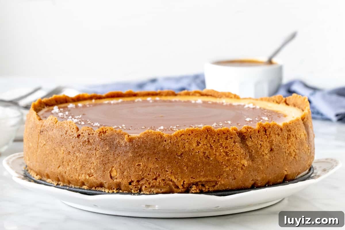 Decadent Salted Caramel Cheesecake Recipe 3 Cheesecake with a graham cracker crust around the sides.
