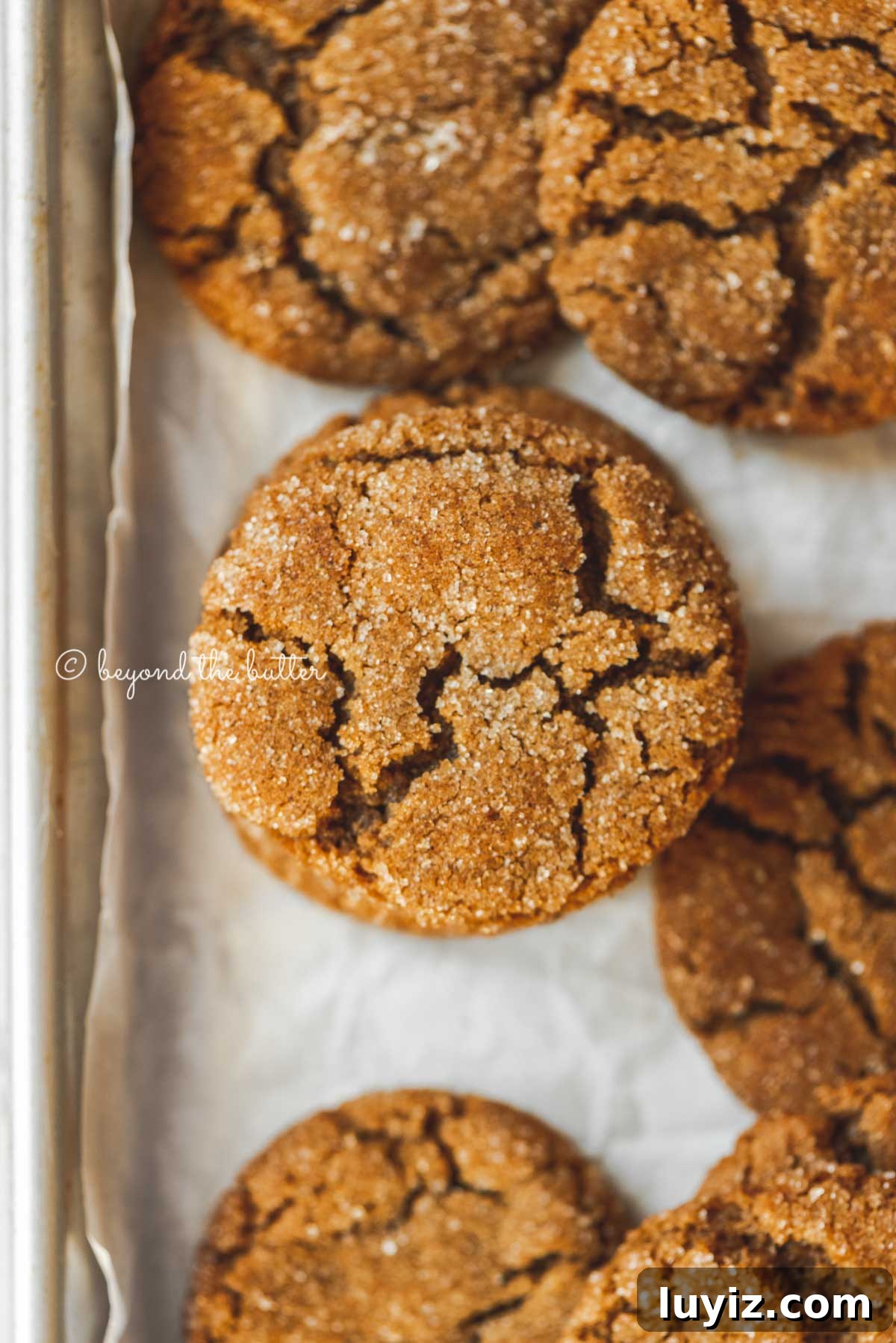 Chewy Molasses Cookies Recipe with Warm Spices 2 Overhead image of soft molasses sugar cookies on a parchment paper lined baking sheet | All Images © Beyond the Butter™