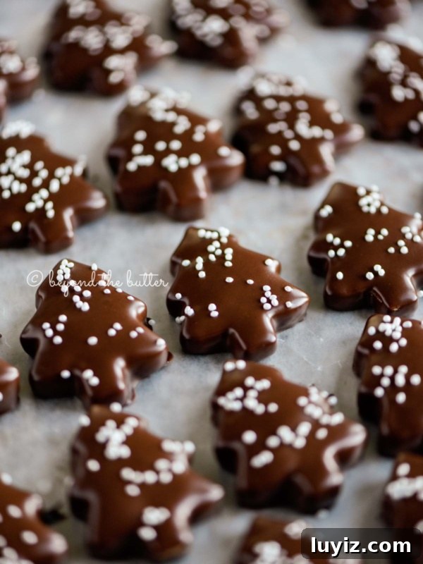 Chewy Molasses Cookies Recipe with Warm Spices 11 Close up image of Chocolate Dipped Graham Cracker Chrismtas Trees topped with white nonpareils on a wax paper lined baking sheet.