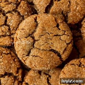 Chewy Molasses Cookies Recipe with Warm Spices 12 Closeup overhead image of soft molasses cookies.
