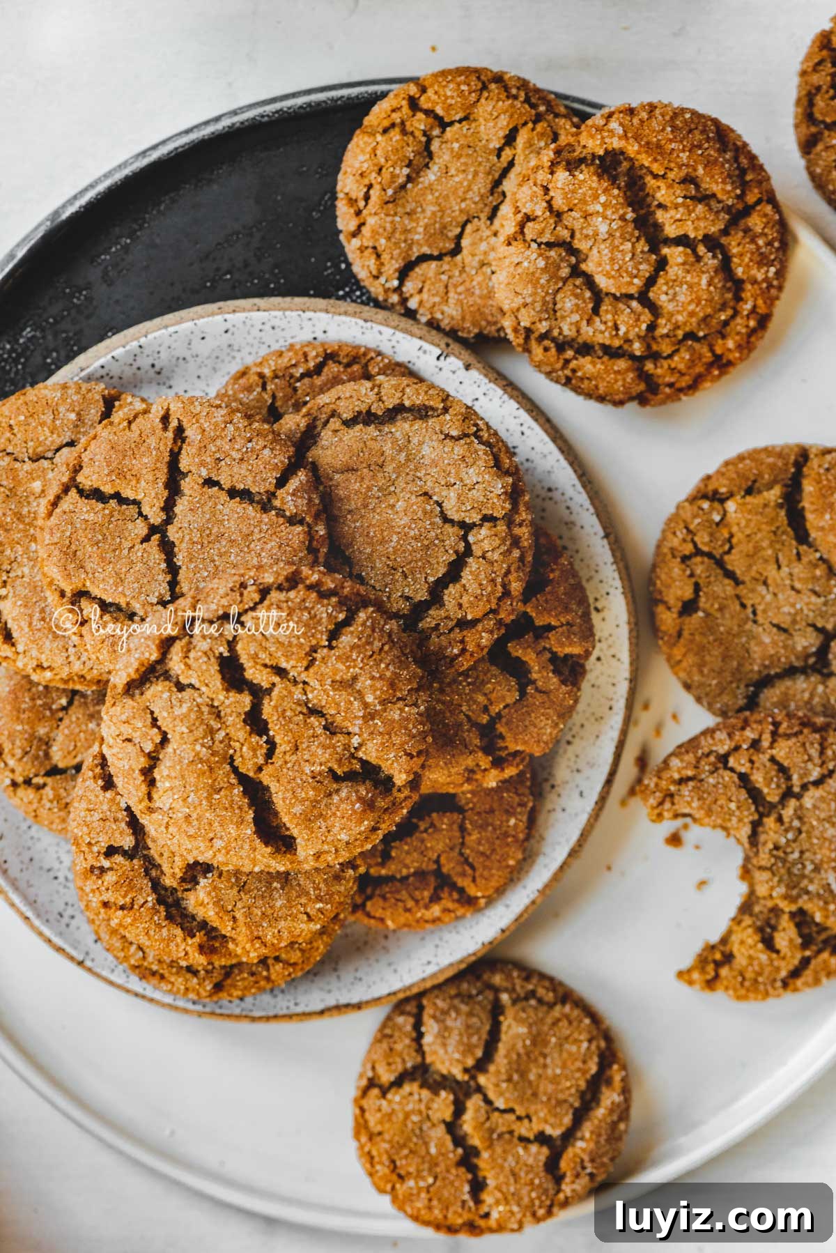 Chewy Molasses Cookies Recipe with Warm Spices 13 Small plate of molasses cookies placed on a larger plate filled with soft molasses cookies and one that is half eaten | All Images © Beyond the Butter™