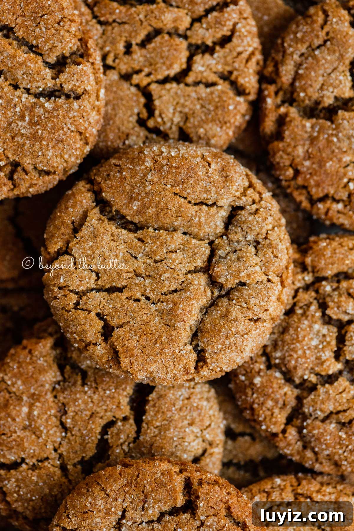 Chewy Molasses Cookies Recipe with Warm Spices 5 Closeup overhead image of soft molasses cookies | All Images © Beyond the Butter™