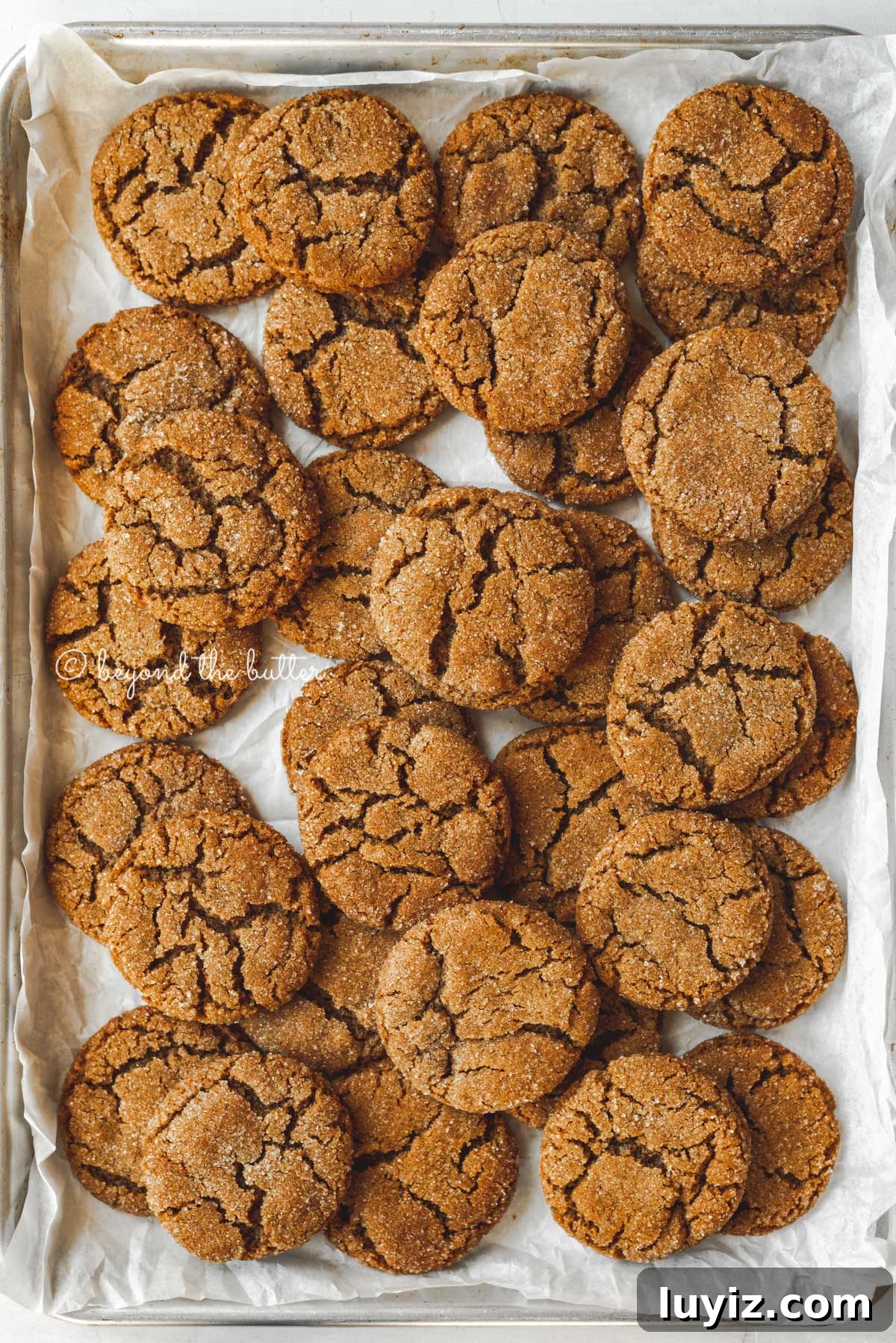 Chewy Molasses Cookies Recipe with Warm Spices 6 Parchment lined baking sheet topped with super soft molasses cookies | All Images © Beyond the Butter™