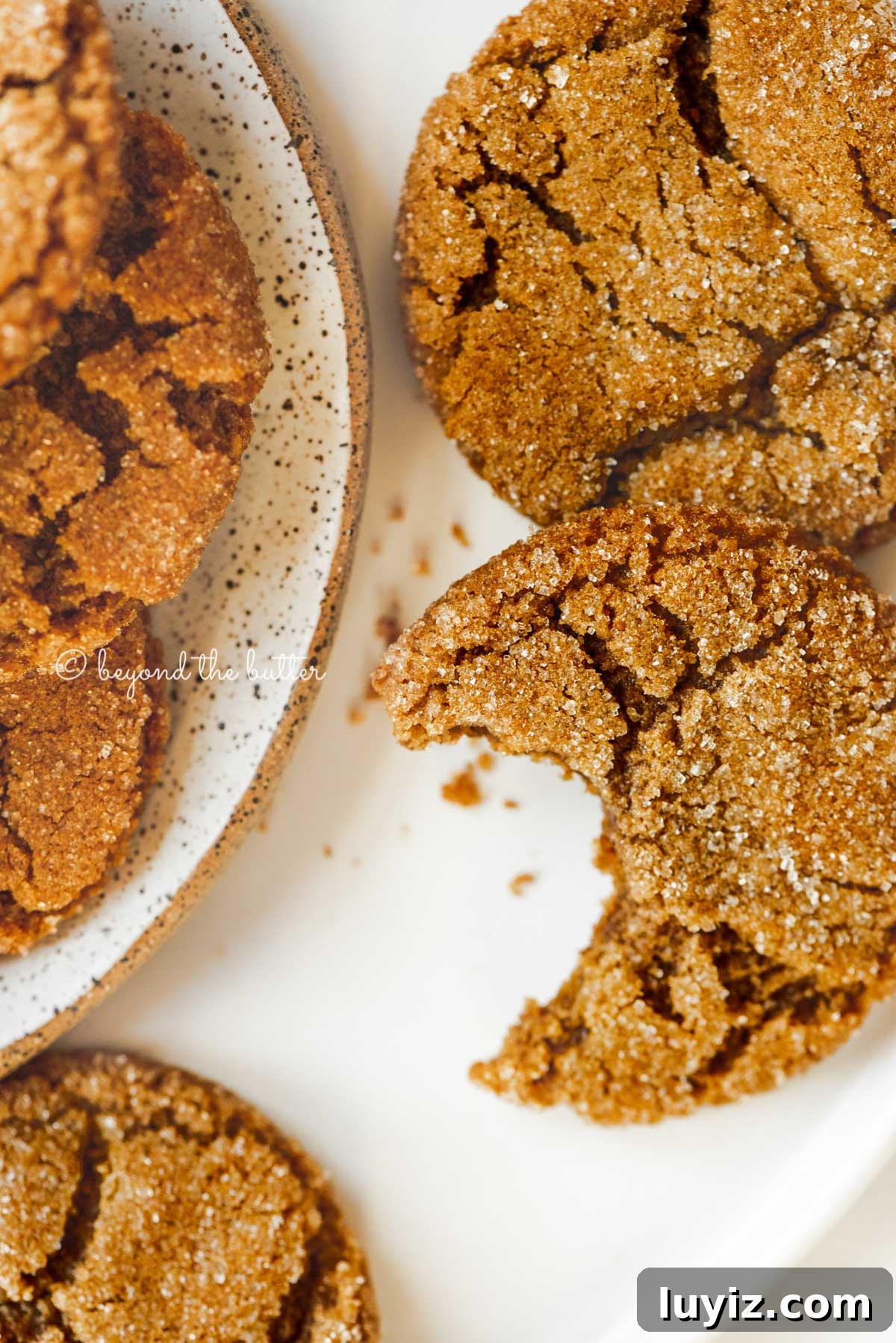 Chewy Molasses Cookies Recipe with Warm Spices 7 Closeup overhead image of half eaten soft molasses cookies placed around other molasses cookies | All Images © Beyond the Butter™