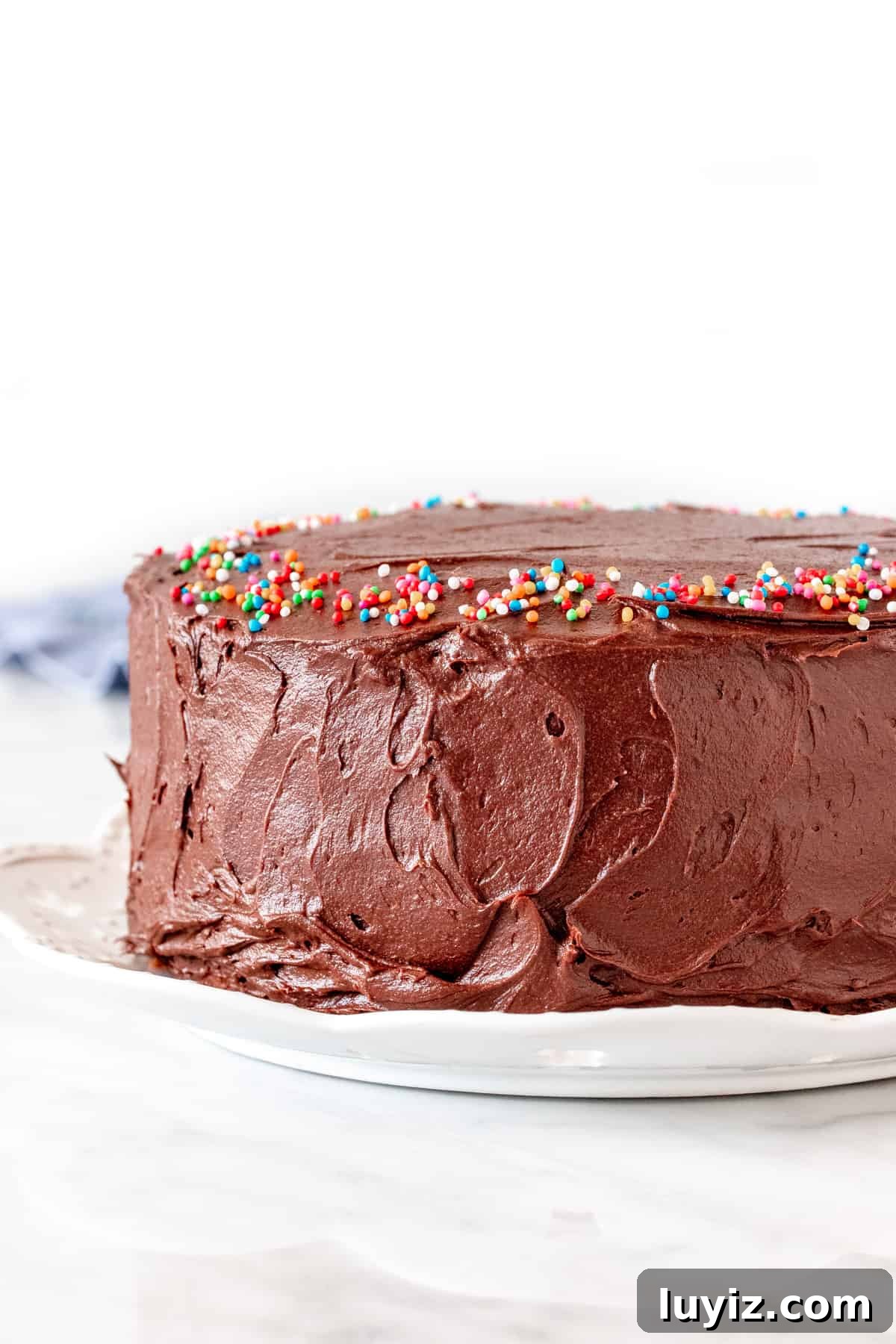Classic Birthday Cake Recipe: Timeless Vanilla Layer Cake 2 Round layer cake with chocolate frosting