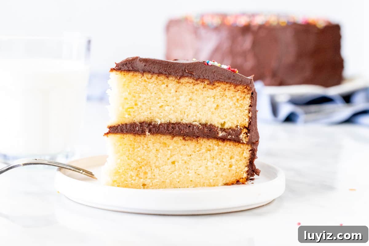 Classic Birthday Cake Recipe: Timeless Vanilla Layer Cake 3 Slice of yellow cake with chocolate frosting