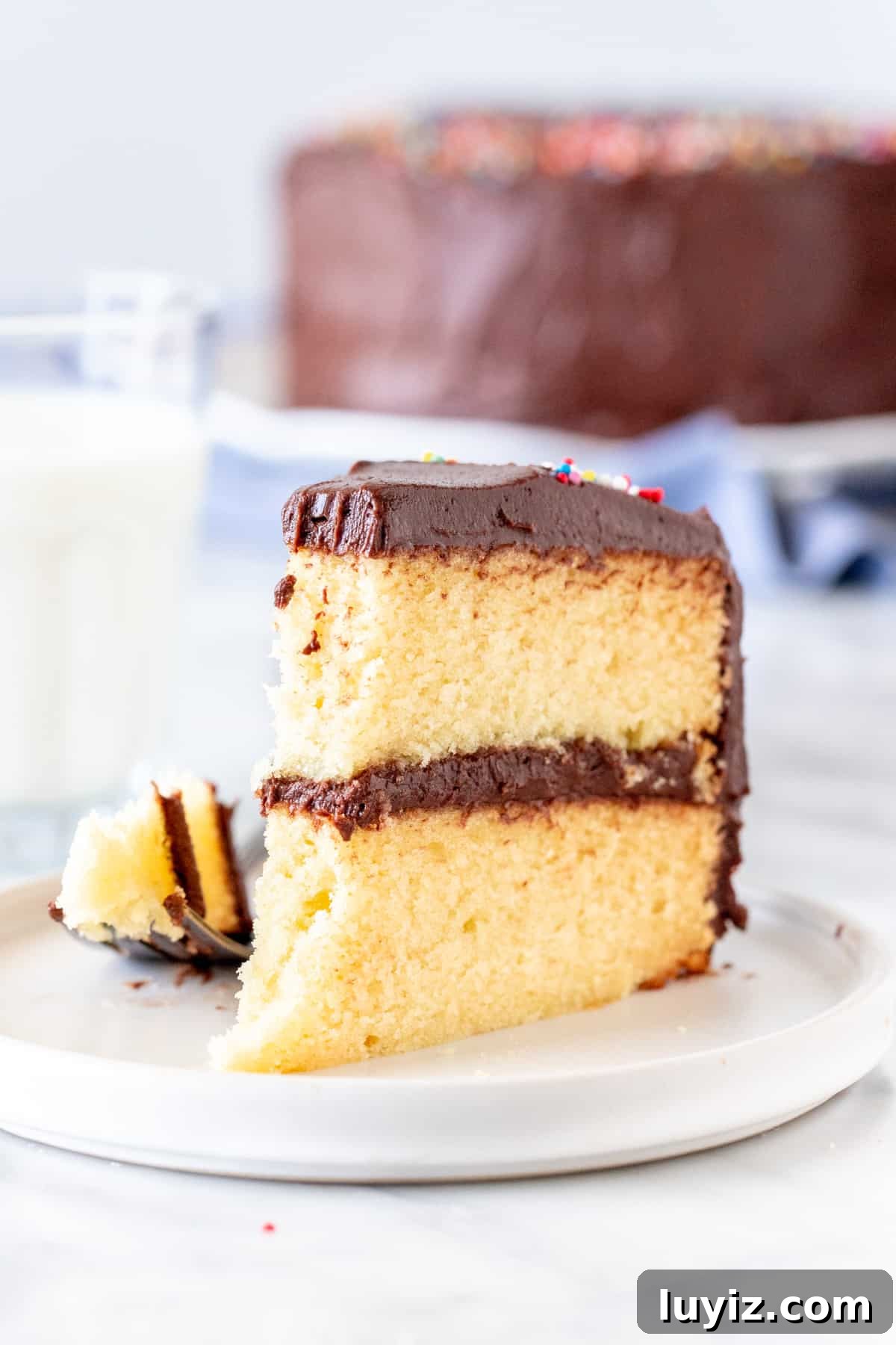 Classic Birthday Cake Recipe: Timeless Vanilla Layer Cake 5 Slice of birthday cake with a bite taken out of it and a glass of milk.