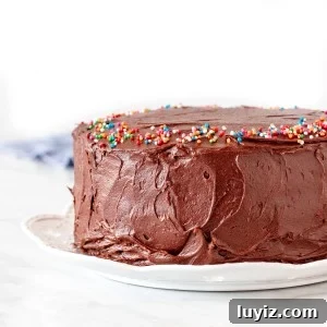 Birthday cake with chocolate frosting