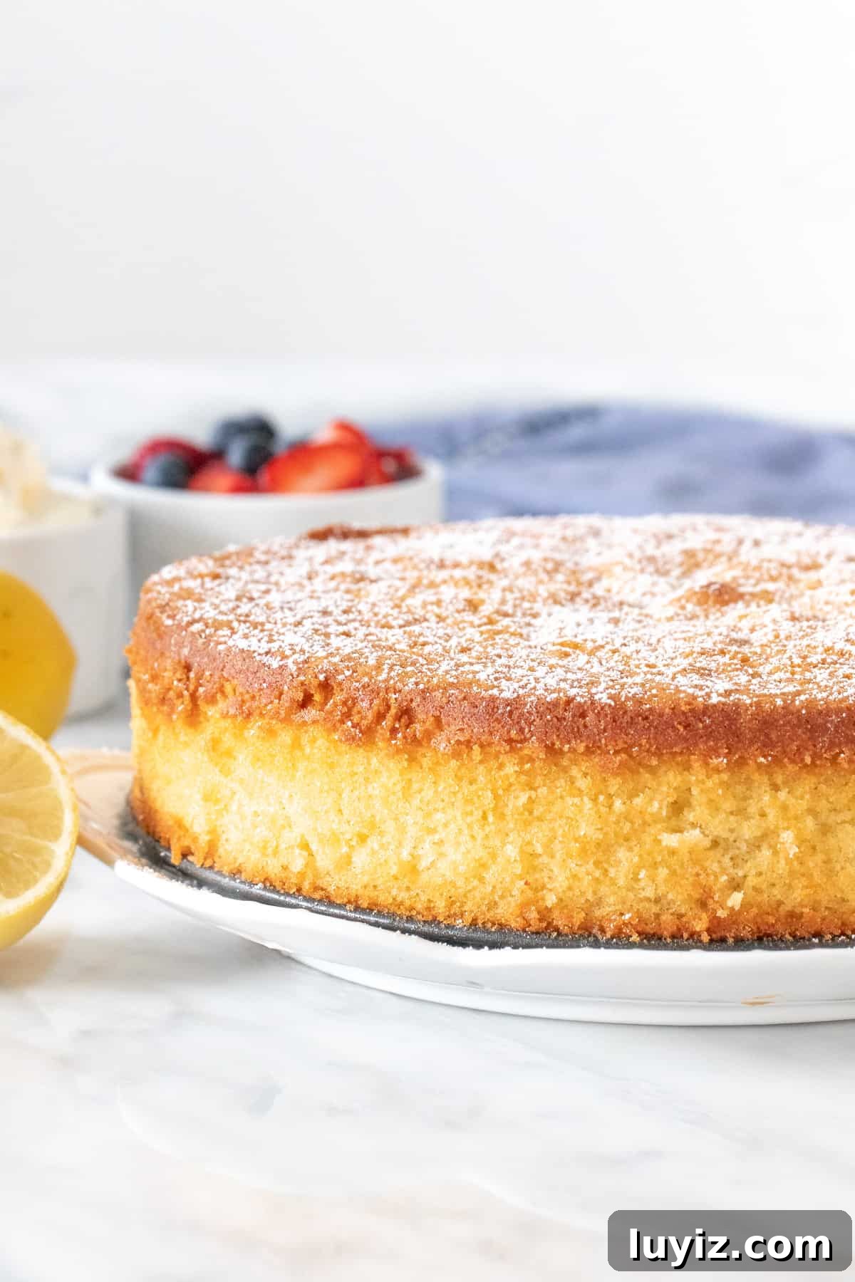 Lemon Olive Oil Cake Recipe: Moist Citrus Dessert for Any Occasion 2 9-inch round lemon cake with powdered sugar sprinkled on top.