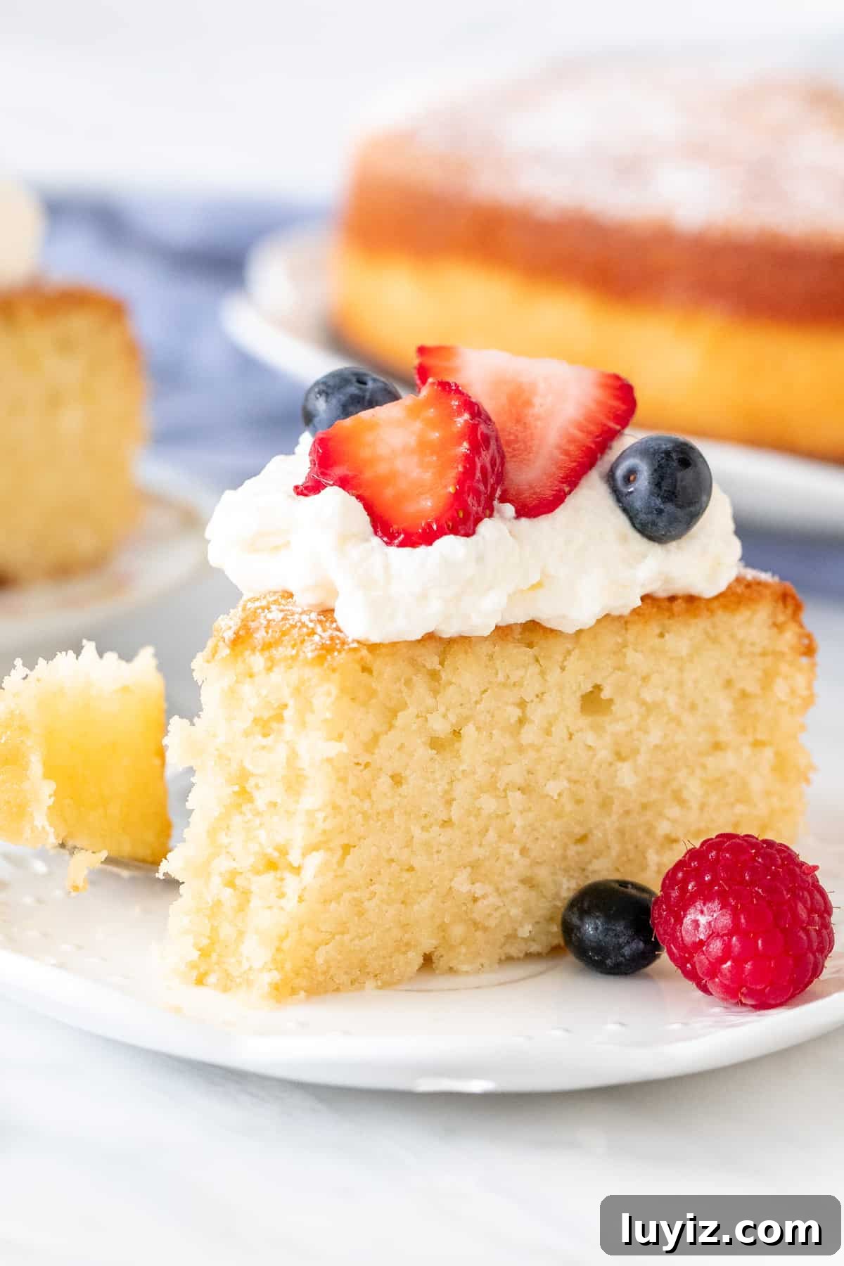 Lemon Olive Oil Cake Recipe: Moist Citrus Dessert for Any Occasion 3 Slice of lemon olive oil cake with whipped cream and berries on top.