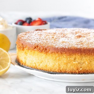 Lemon Olive Oil Cake Recipe: Moist Citrus Dessert for Any Occasion 5 Round lemon olive oil cake with a sprinkle of powdered sugar.