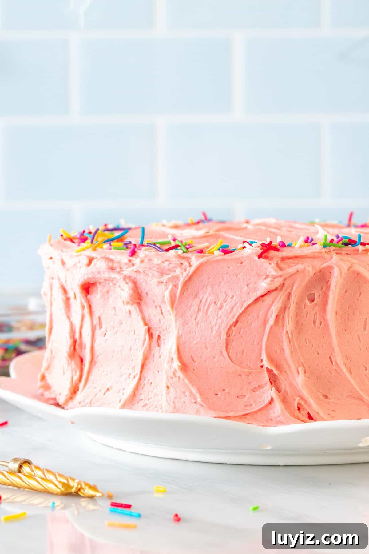 Scratch-Made Funfetti Cake Filled with Rainbow Sprinkles 3 Birthday cake with pink frosting and sprinkles