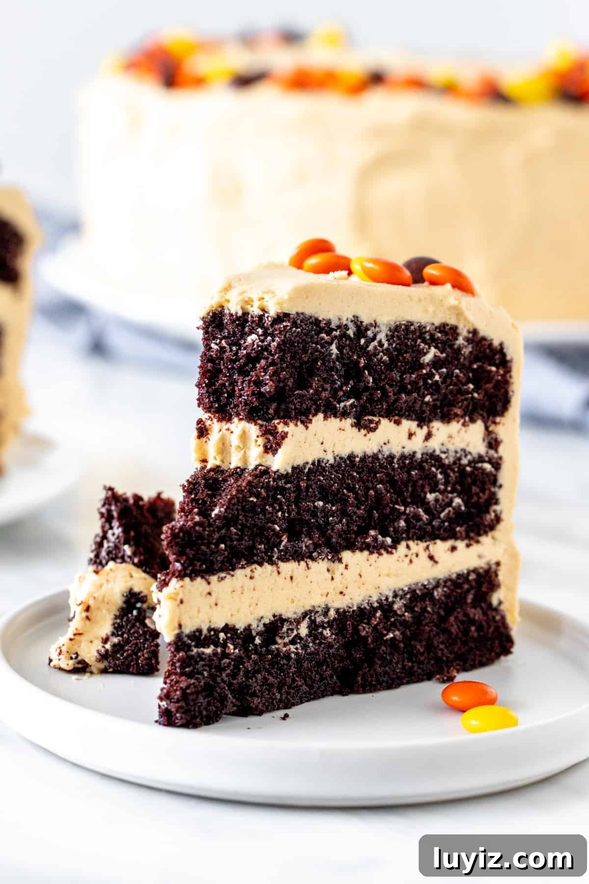 Decadent Chocolate Peanut Butter Layer Cake Recipe 2 Slice of chocolate peanut butter cake with a bite taken out of it.