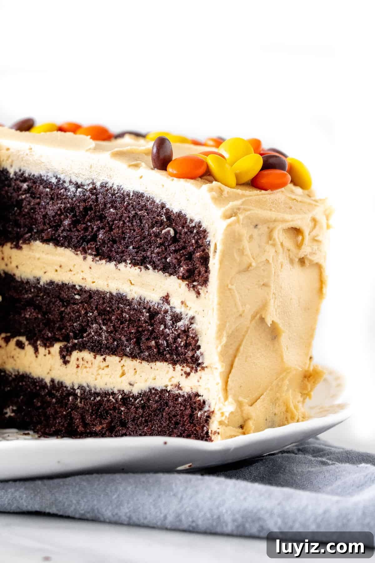 Decadent Chocolate Peanut Butter Layer Cake Recipe 4 A 3-layer chocolate cake with peanut butter frosting.