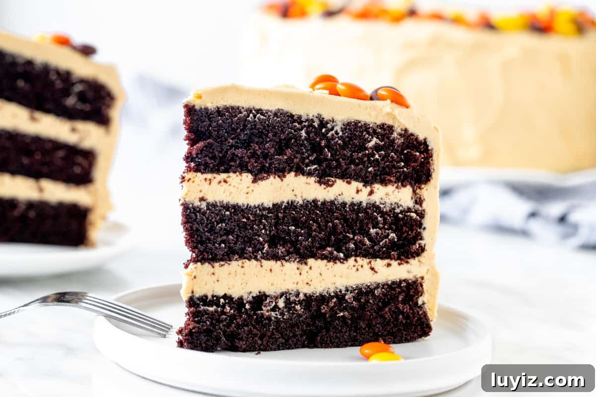 Decadent Chocolate Peanut Butter Layer Cake Recipe 6 Slice of chocolate peanut butter layer cake.